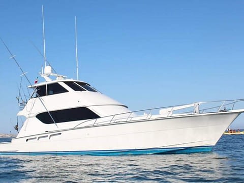 fishing-charter-Harter-Hatteras-65-ft.jpg