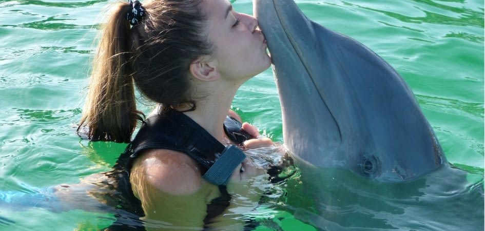 swimming with dolphins Los Cabos 03