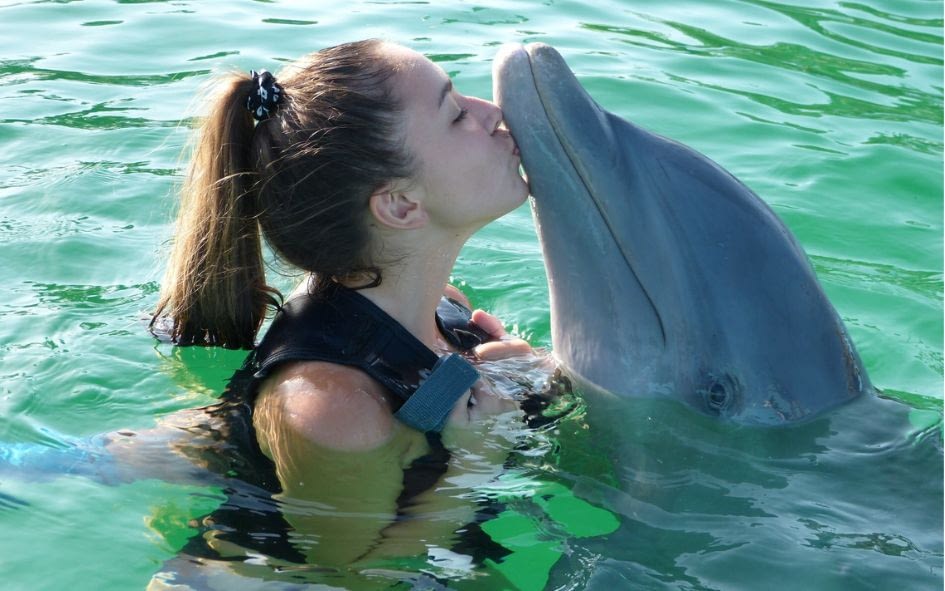 swimming with dolphins Los Cabos 03