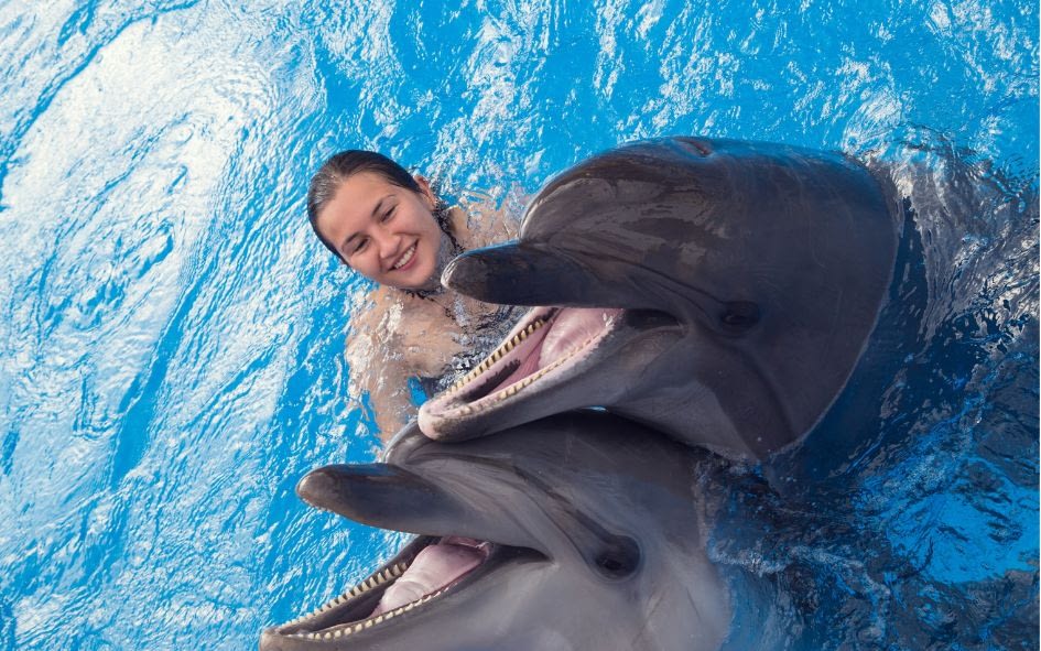 swimming with dolphins Los Cabos