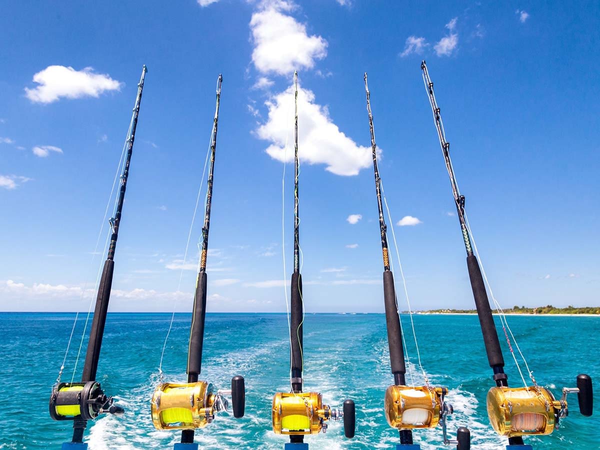 Rent a Fishing Charter in Cabo San Lucas 2
