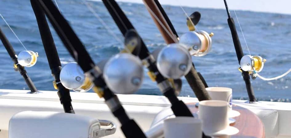 la-paz-yacht-charters-yellow-tail-sea-of-cortez-fishing-tournament.jpg