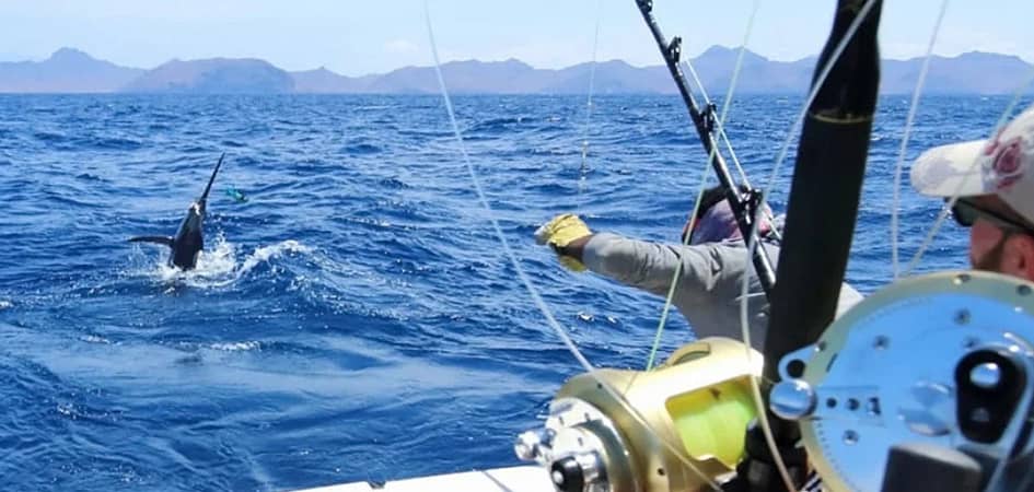 Deep Sea Fishing Charter in Los Cabos Tips