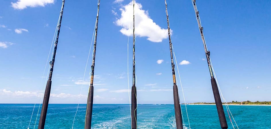 Rent a Fishing Charter in Cabo San Lucas 2
