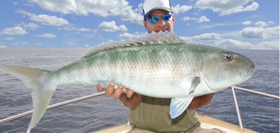 yachts for fishing in Los Cabos 28