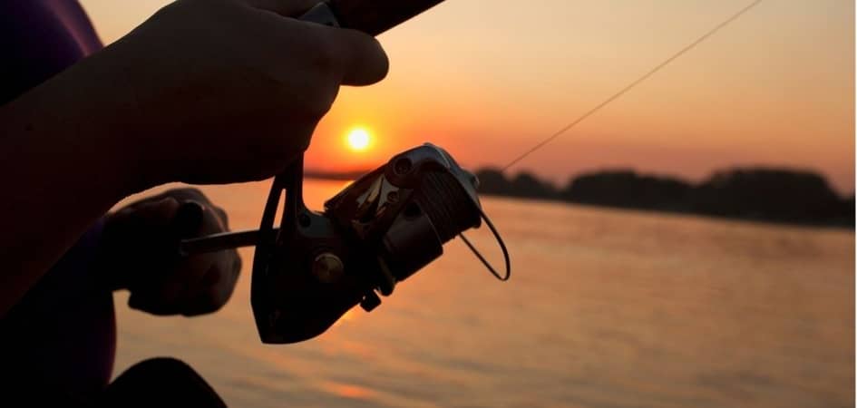 yachts for fishing in Los Cabos 34