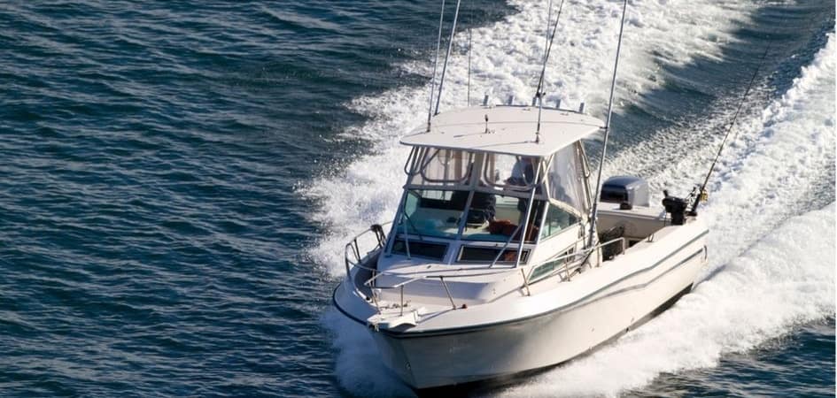 yachts for fishing in Los Cabos 35